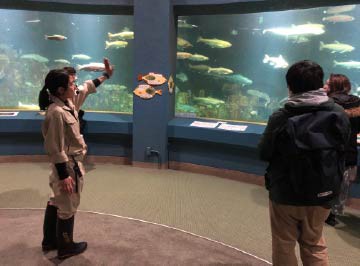 水族館オリジナル企画ツアー